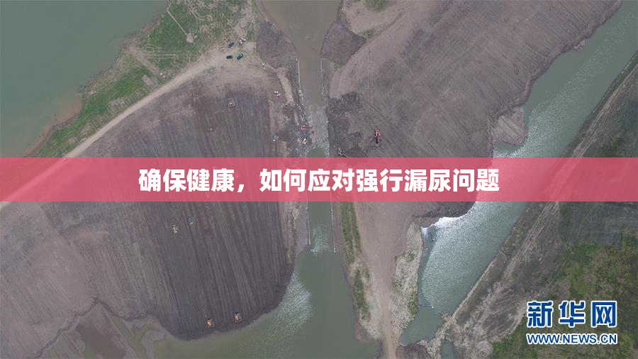 确保健康，如何应对强行漏尿问题
