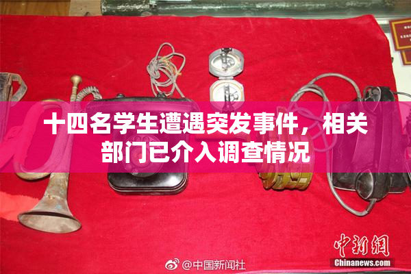 十四名学生遭遇突发事件，相关部门已介入调查情况