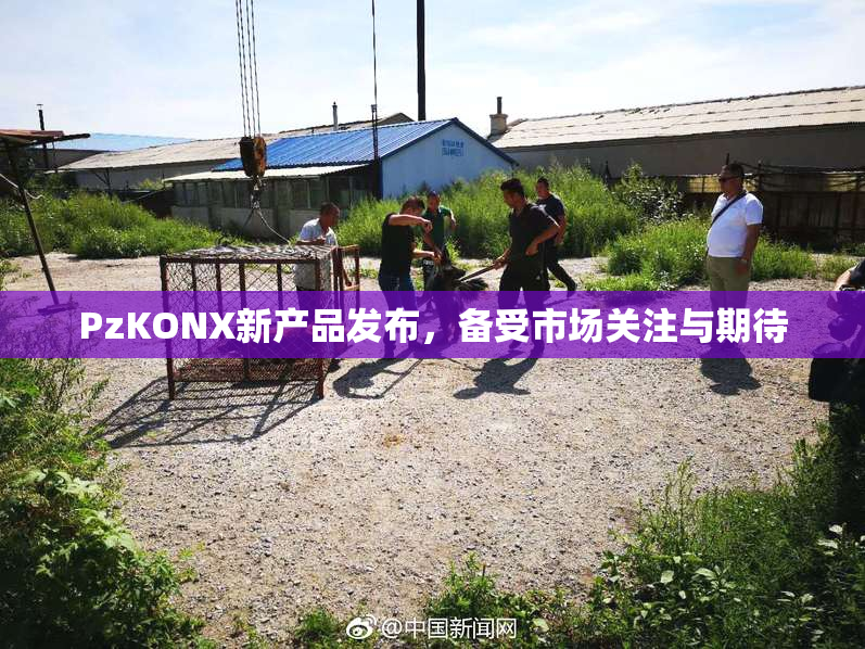 PzKONX新产品发布，备受市场关注与期待