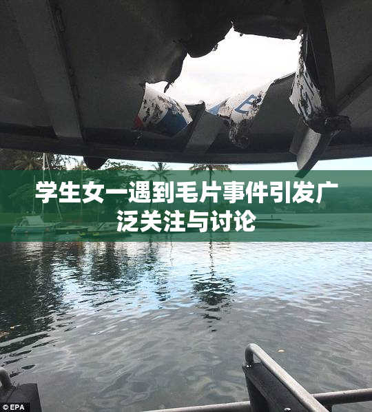 学生女一遇到毛片事件引发广泛关注与讨论