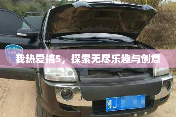 我热爱搞5，探索无尽乐趣与创意