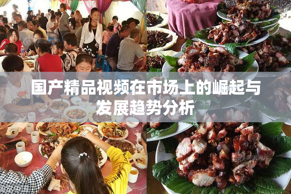 国产精品视频在市场上的崛起与发展趋势分析