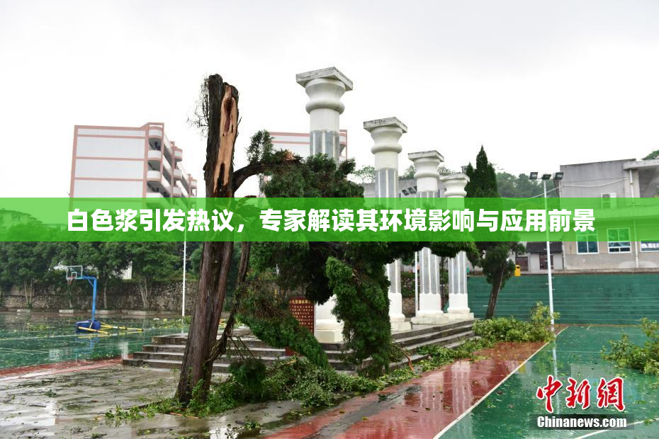 白色浆引发热议，专家解读其环境影响与应用前景