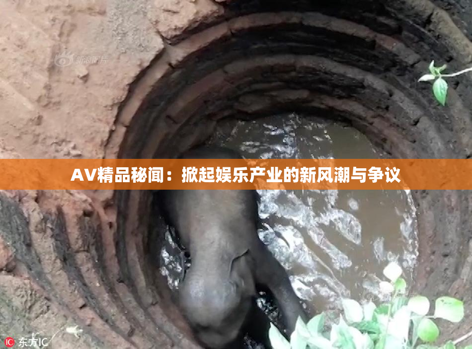 AV精品秘闻：掀起娱乐产业的新风潮与争议
