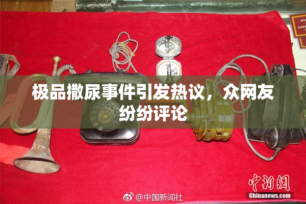 极品撒尿事件引发热议，众网友纷纷评论