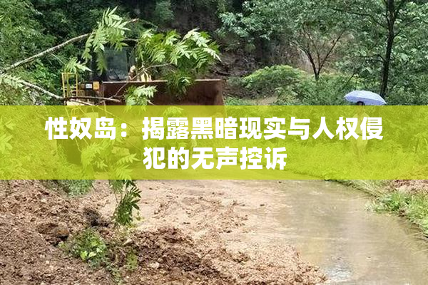 性奴岛：揭露黑暗现实与人权侵犯的无声控诉