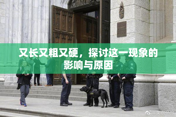 又长又粗又硬，探讨这一现象的影响与原因