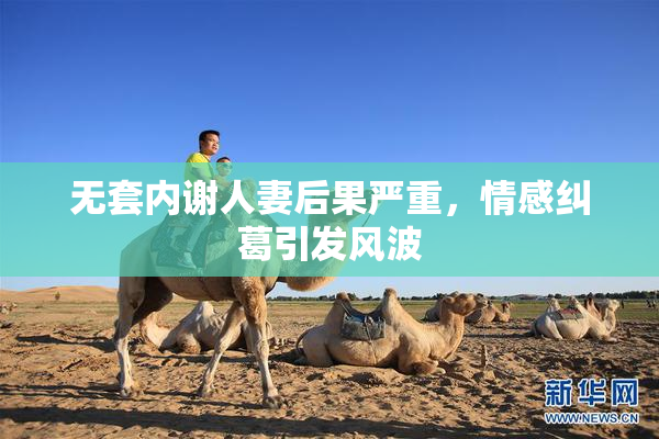 无套内谢人妻后果严重，情感纠葛引发风波