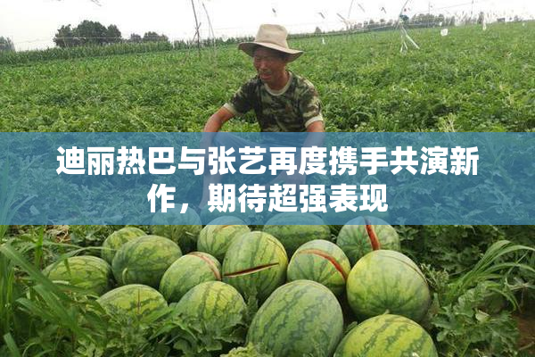迪丽热巴与张艺再度携手共演新作，期待超强表现