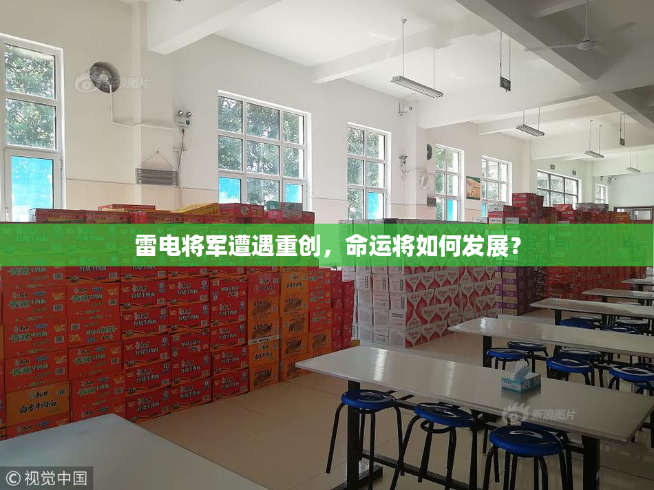 雷电将军遭遇重创，命运将如何发展？