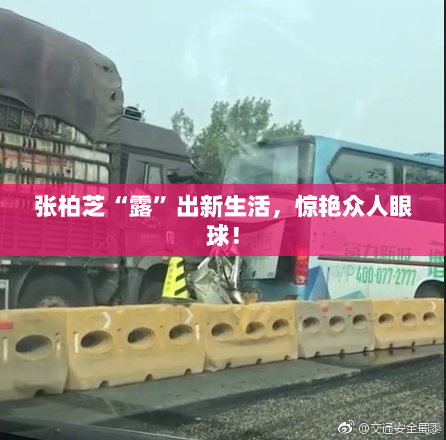 张柏芝“露”出新生活，惊艳众人眼球！