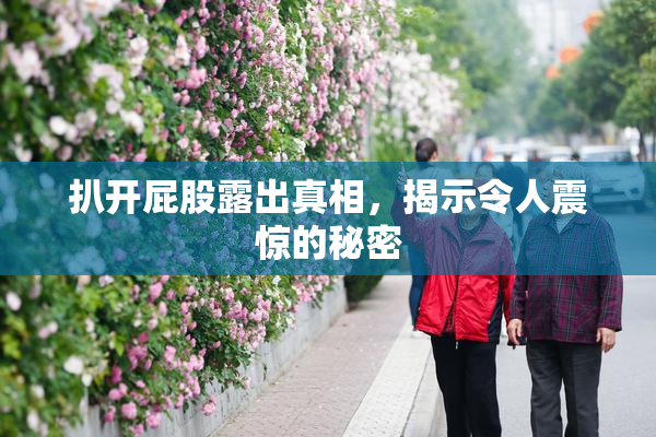 扒开屁股露出真相，揭示令人震惊的秘密