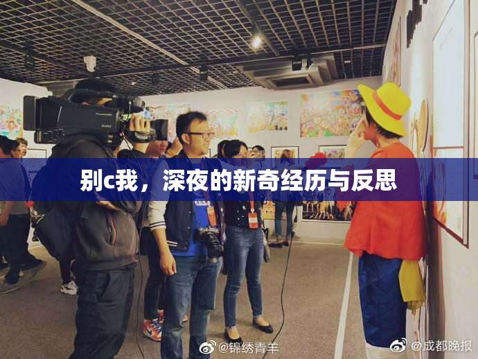 别c我，深夜的新奇经历与反思