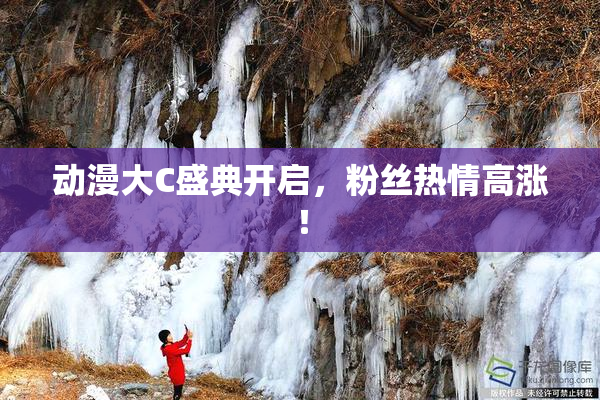 动漫大C盛典开启，粉丝热情高涨！