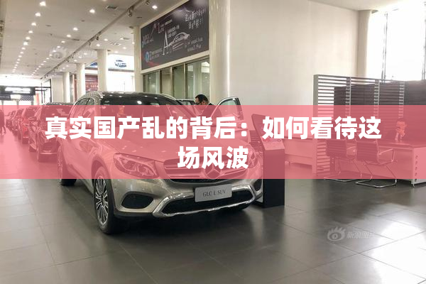 真实国产乱的背后：如何看待这场风波