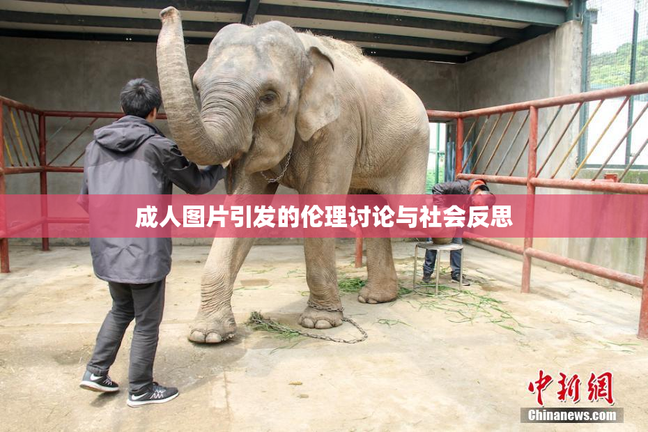 成人图片引发的伦理讨论与社会反思