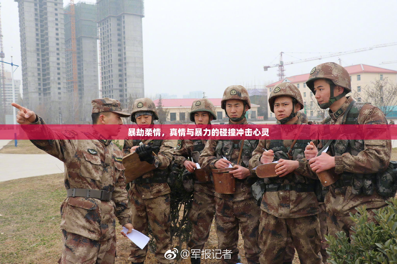 暴劫柔情，真情与暴力的碰撞冲击心灵