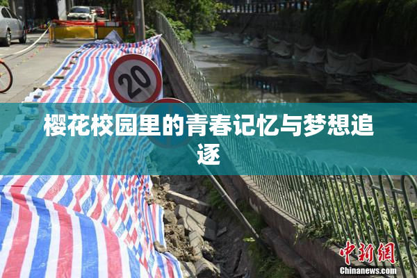 樱花校园里的青春记忆与梦想追逐