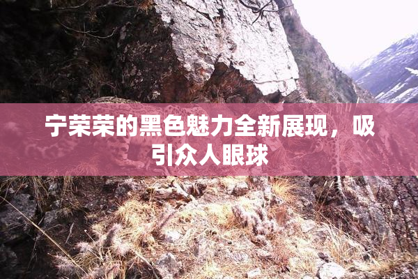 宁荣荣的黑色魅力全新展现，吸引众人眼球