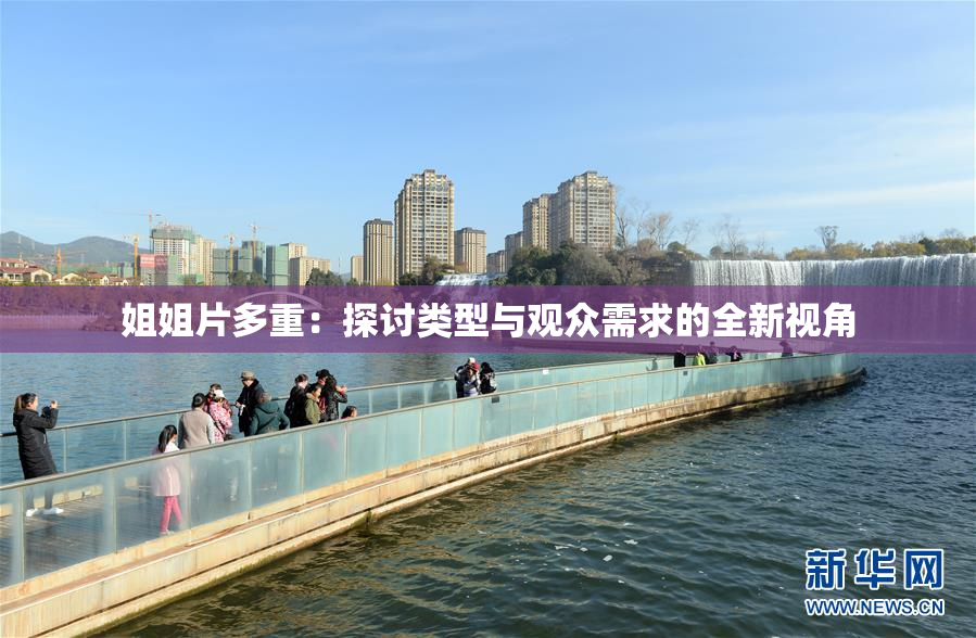 姐姐片多重：探讨类型与观众需求的全新视角