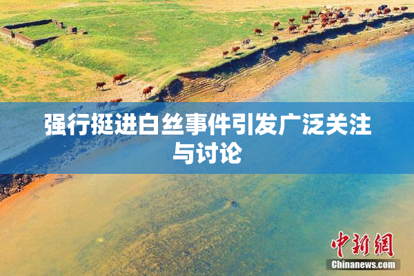强行挺进白丝事件引发广泛关注与讨论