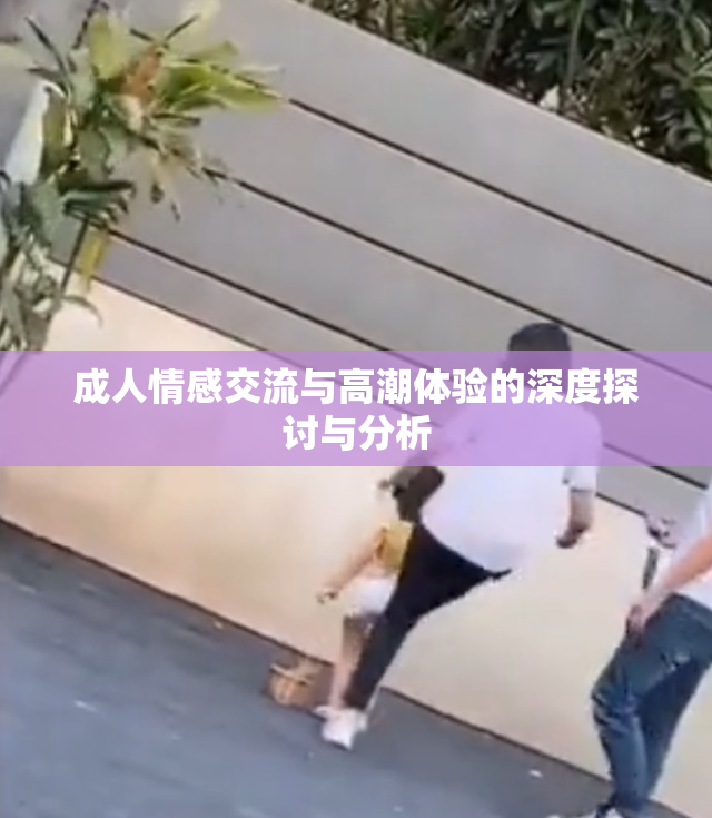成人情感交流与高潮体验的深度探讨与分析