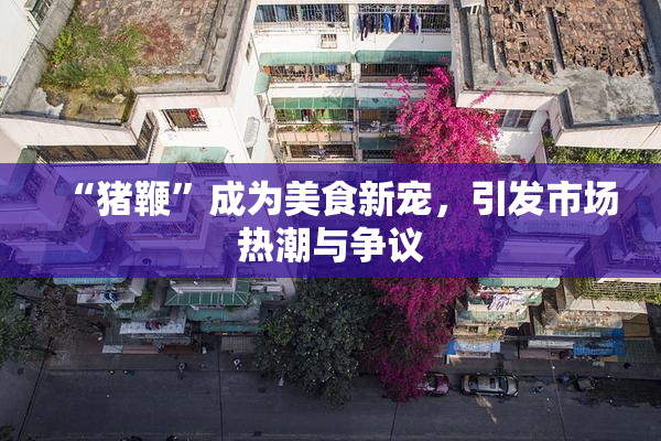 “猪鞭”成为美食新宠，引发市场热潮与争议