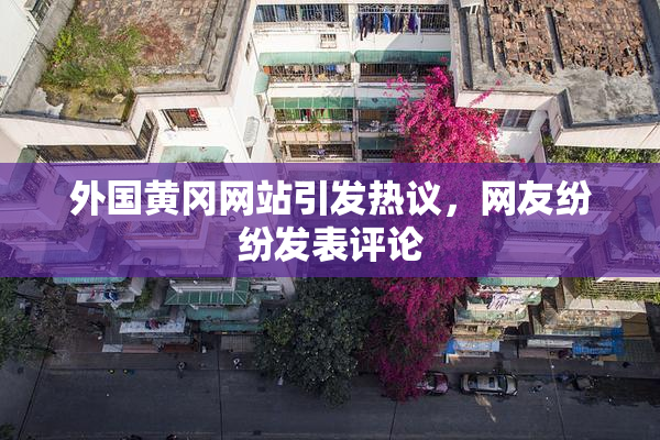 外国黄冈网站引发热议，网友纷纷发表评论