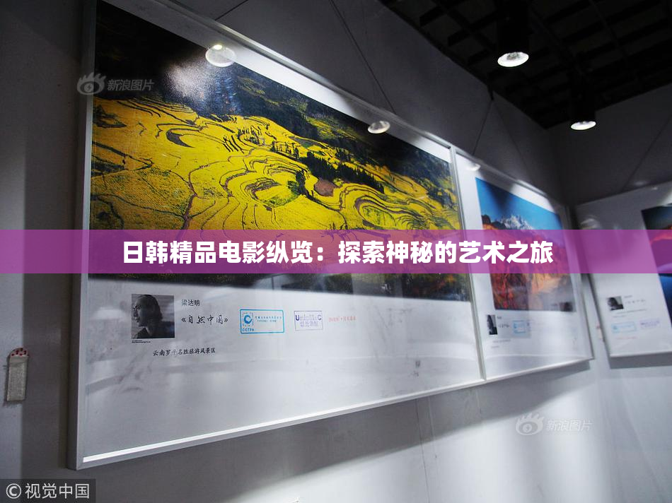 日韩精品电影纵览：探索神秘的艺术之旅
