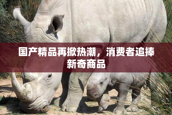 国产精品再掀热潮，消费者追捧新奇商品