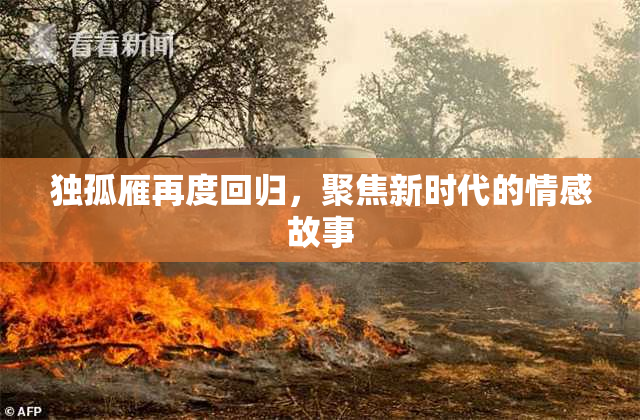 独孤雁再度回归，聚焦新时代的情感故事