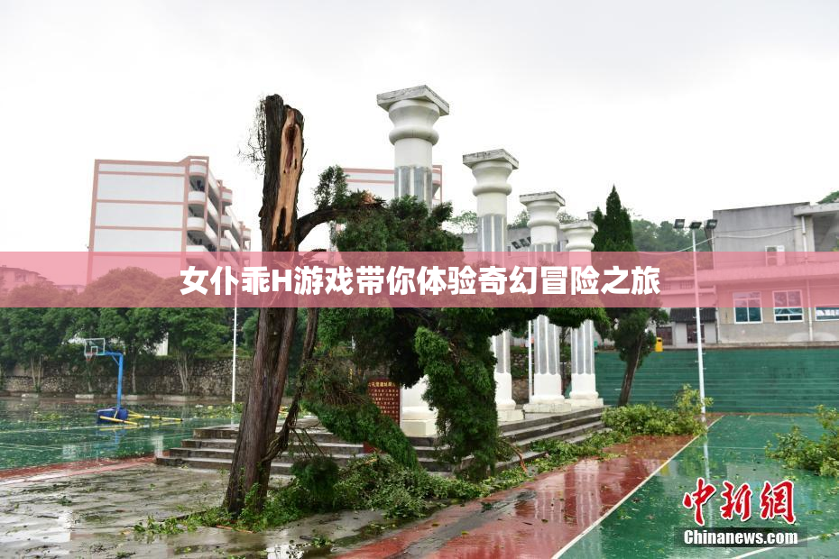 女仆乖H游戏带你体验奇幻冒险之旅