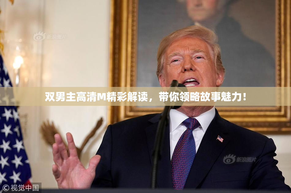 双男主高清M精彩解读，带你领略故事魅力！