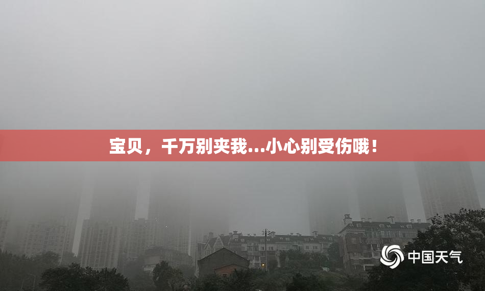 宝贝，千万别夹我…小心别受伤哦！