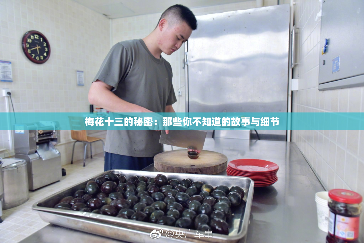 梅花十三的秘密：那些你不知道的故事与细节