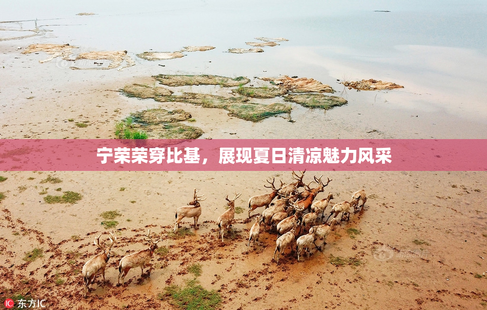 宁荣荣穿比基，展现夏日清凉魅力风采