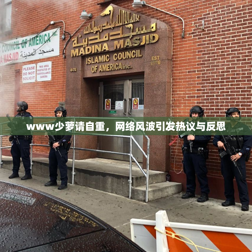 www少萝请自重，网络风波引发热议与反思