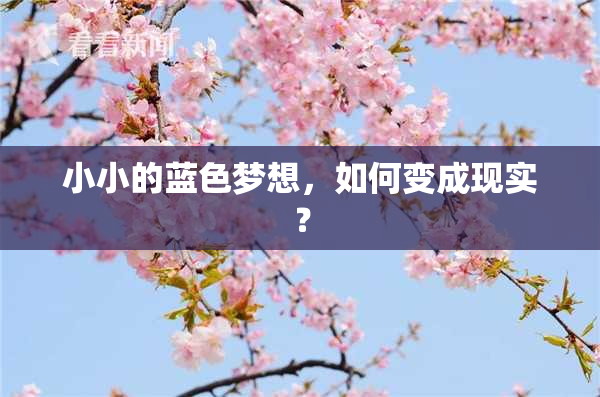 小小的蓝色梦想，如何变成现实？