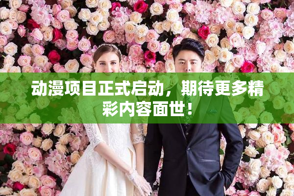 动漫项目正式启动，期待更多精彩内容面世！