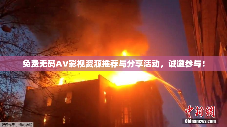 免费无码AV影视资源推荐与分享活动，诚邀参与！