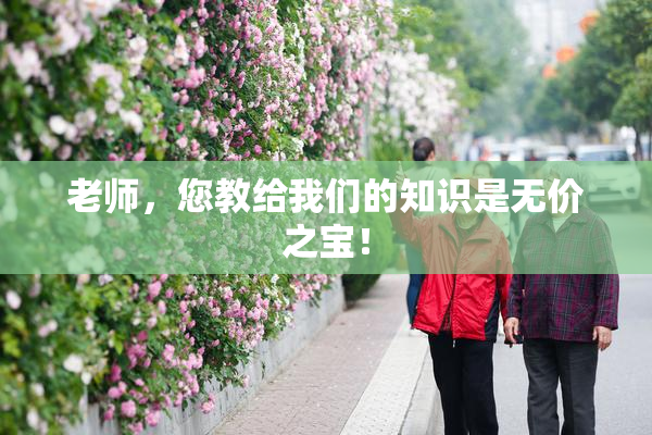 老师，您教给我们的知识是无价之宝！