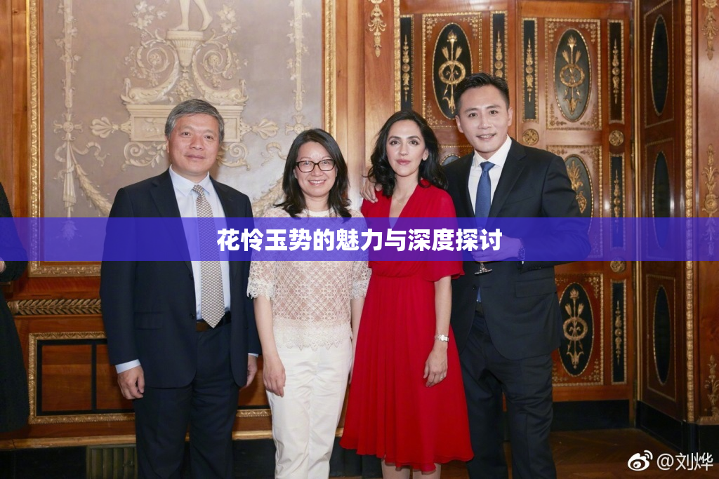 花怜玉势的魅力与深度探讨