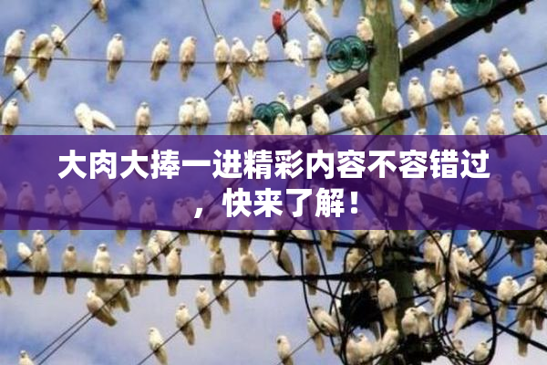 大肉大捧一进精彩内容不容错过，快来了解！