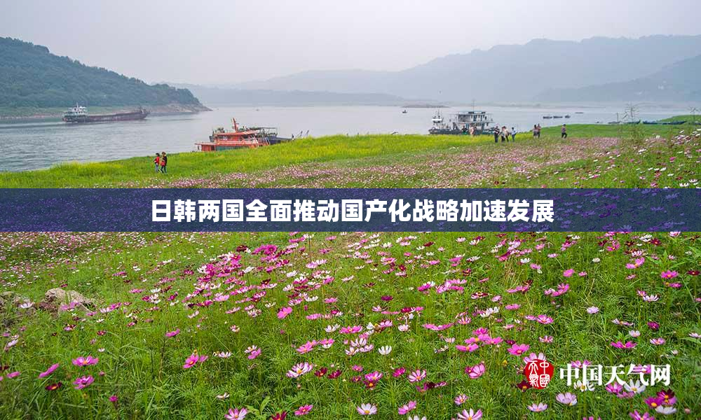 日韩两国全面推动国产化战略加速发展
