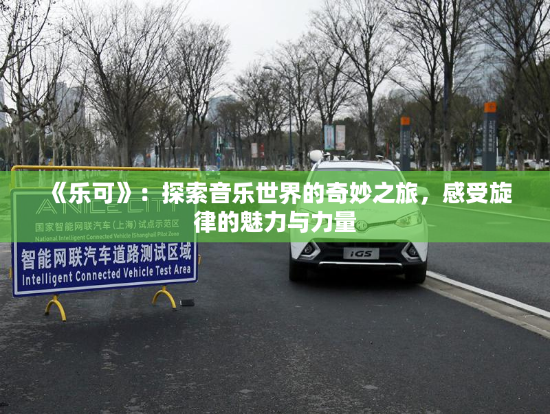 《乐可》：探索音乐世界的奇妙之旅，感受旋律的魅力与力量