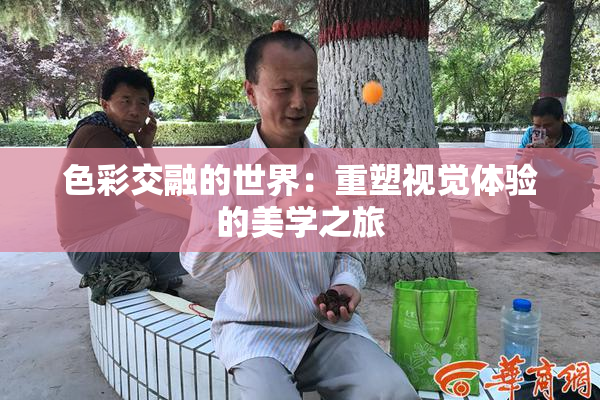 色彩交融的世界：重塑视觉体验的美学之旅