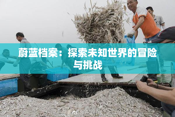 蔚蓝档案：探索未知世界的冒险与挑战