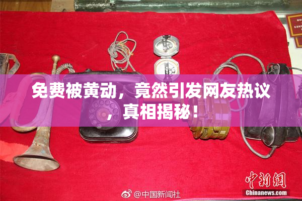 免费被黄动，竟然引发网友热议，真相揭秘！
