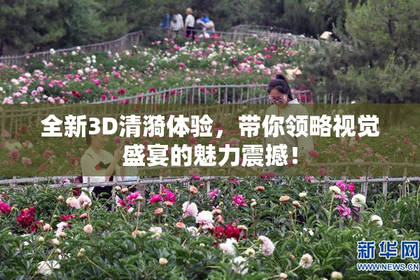 全新3D清漪体验，带你领略视觉盛宴的魅力震撼！