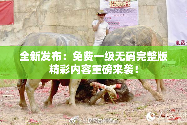 全新发布：免费一级无码完整版精彩内容重磅来袭！